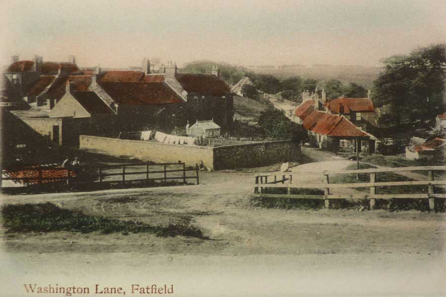 Biddick Lane