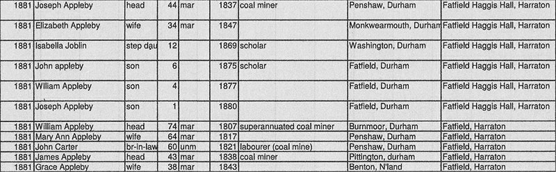 Extract from 1881 census