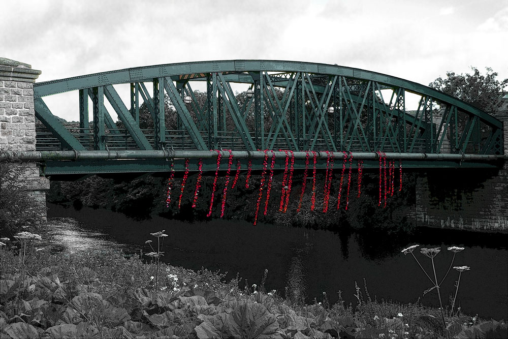 Poppies on the Bridge