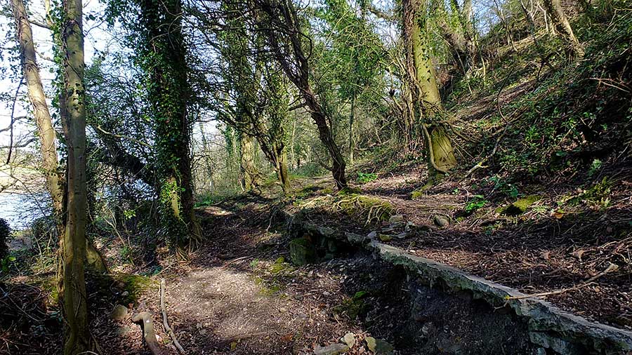 The Remains of Copperas House